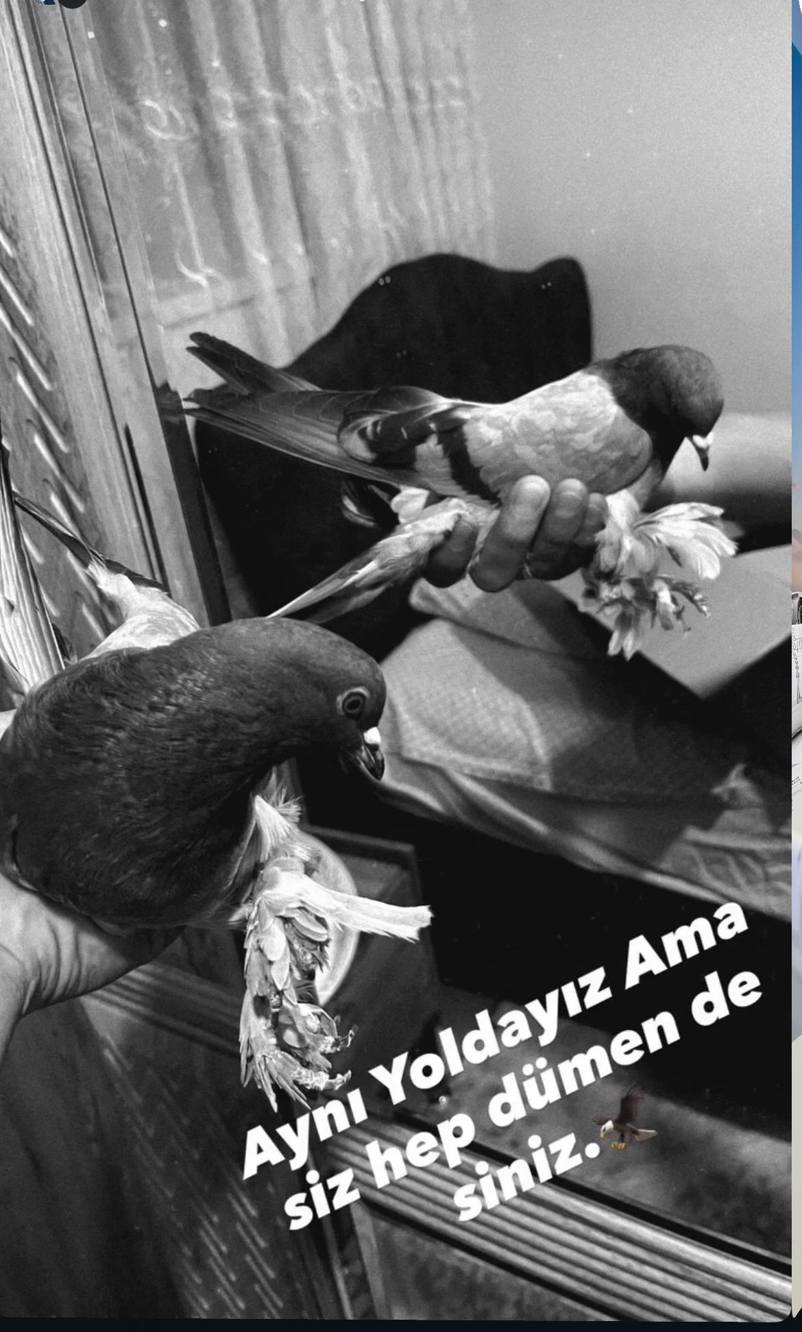 @Oyunkuşu06