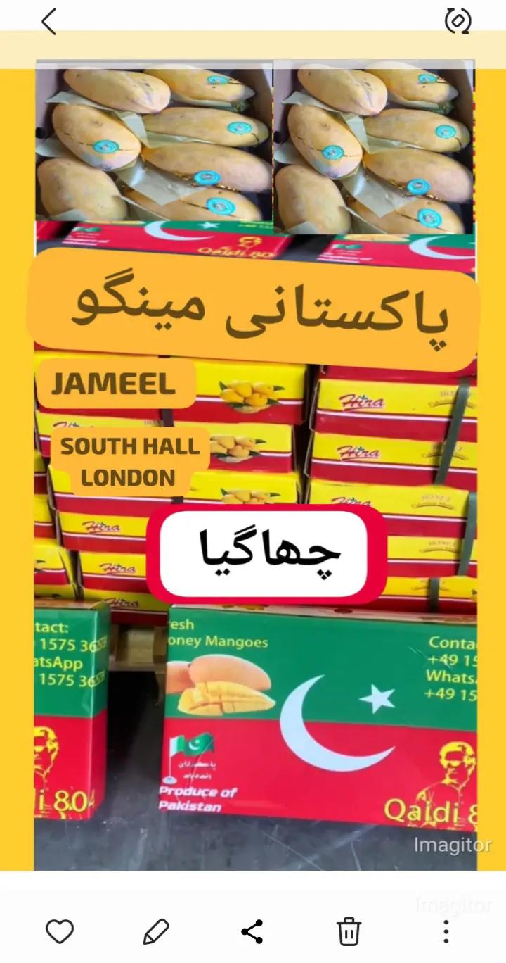 @jameel_sheikh_uk1