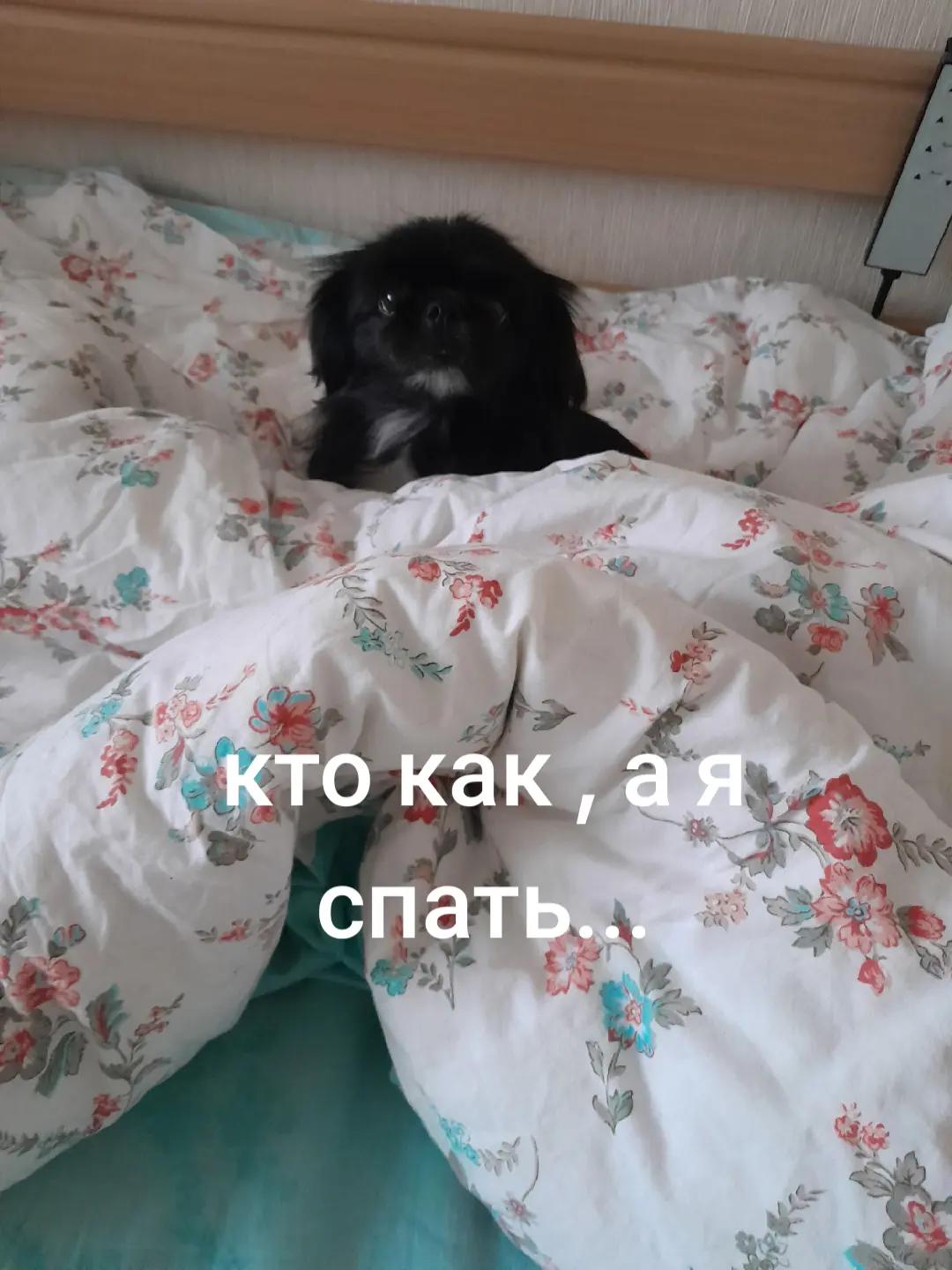 @Жужа