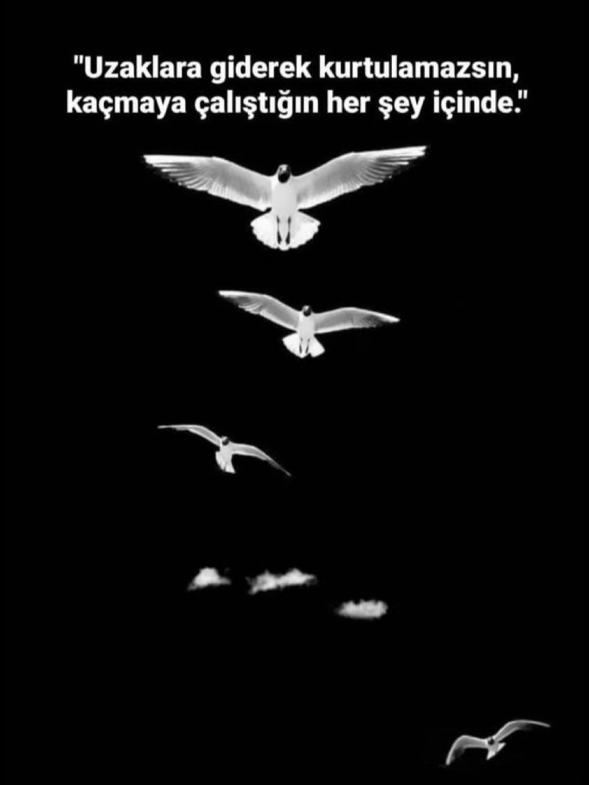 @Anıl Can Kurt