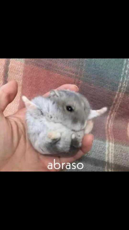 @Daisy Palacios
