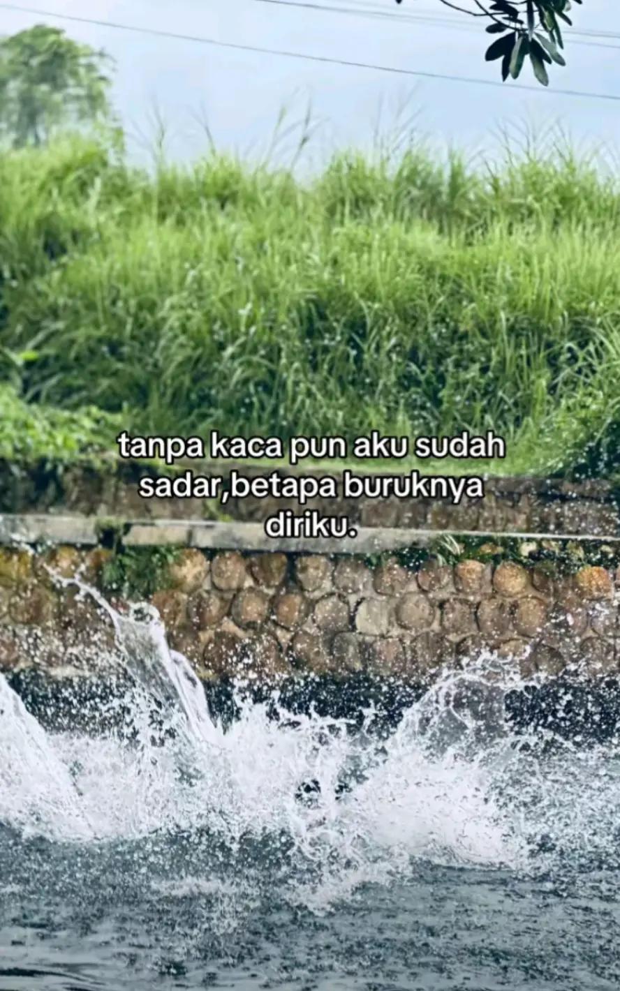 @WONG MUMET 🧠