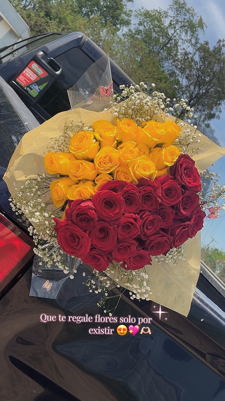 @Lucero❤️🌼🦋
