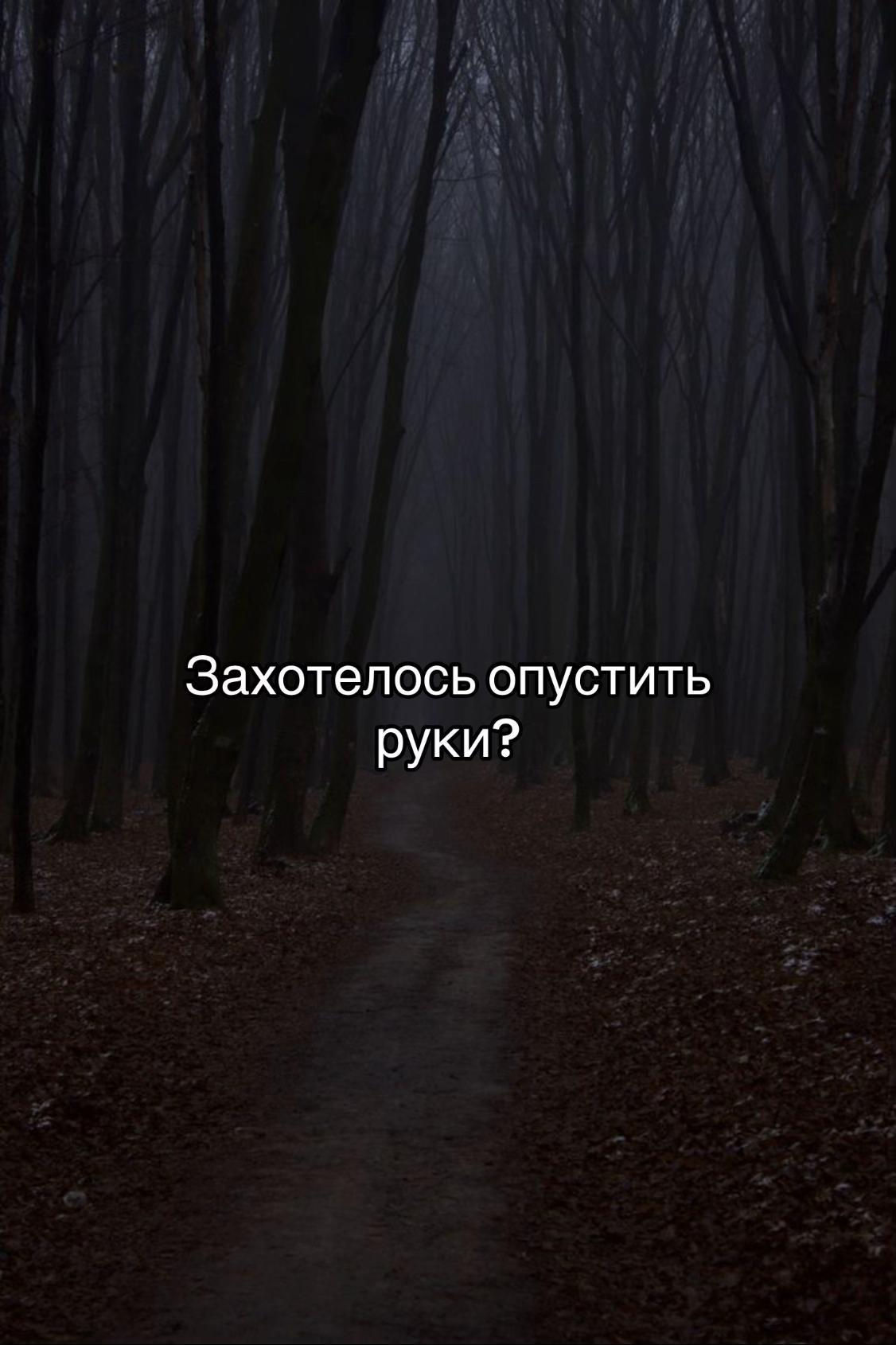 @Лайтик✨🖤