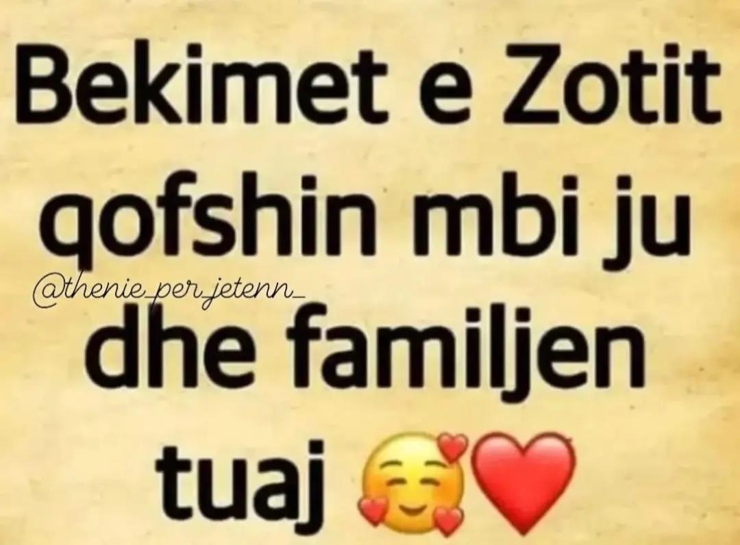 @tina nikolla