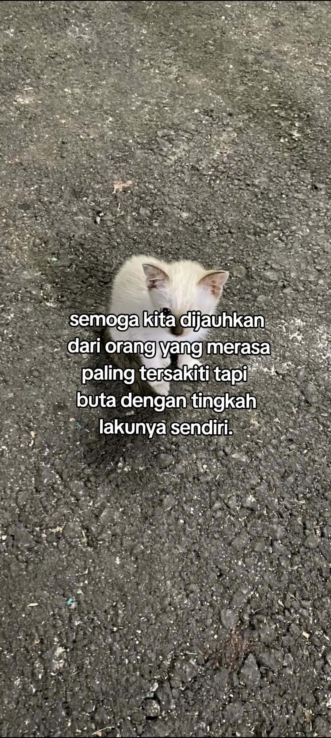 @1717