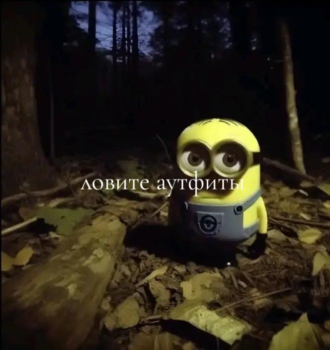 @11_Vlad_61