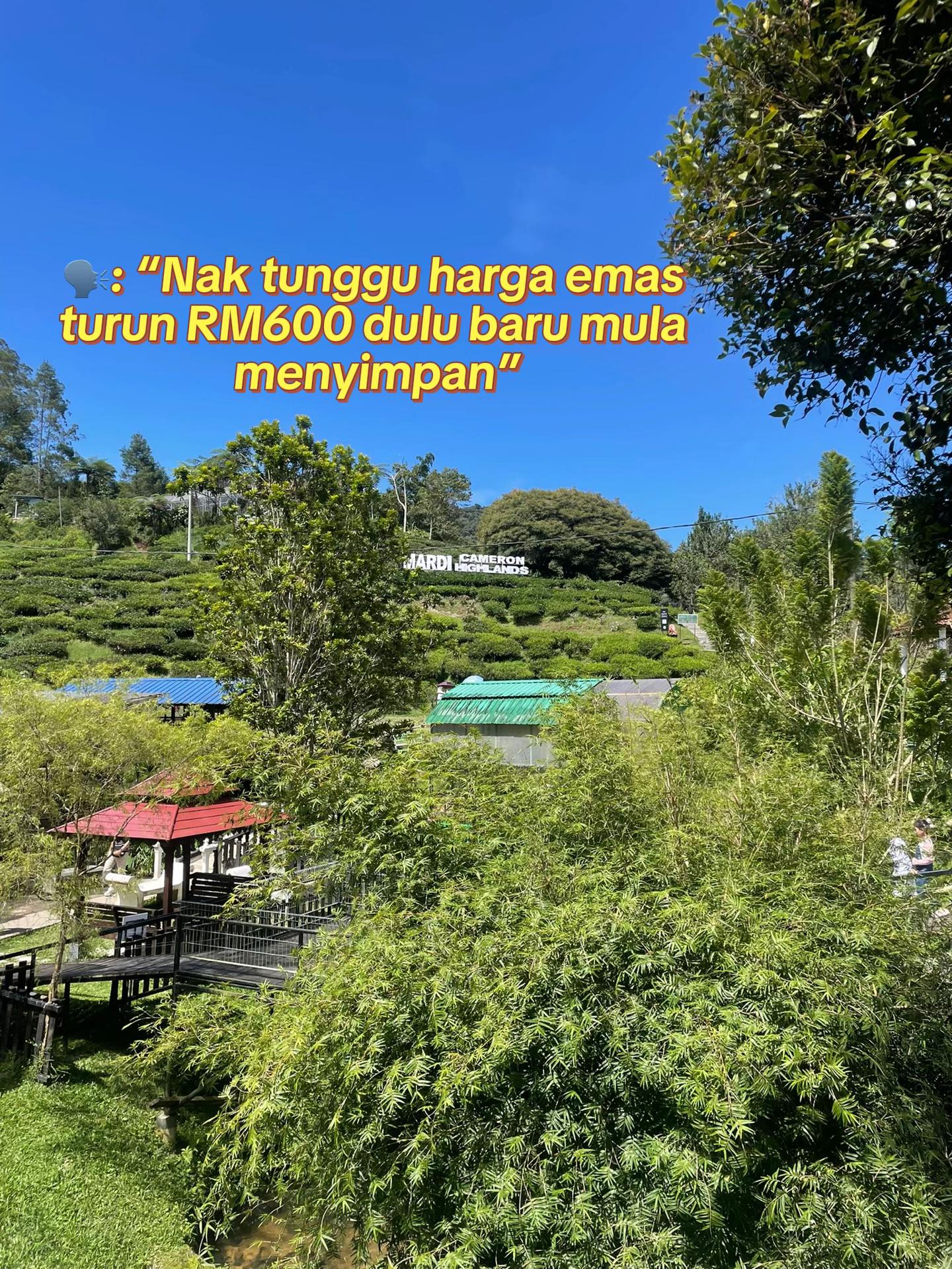 @Ainnur Najmie | Public Gold