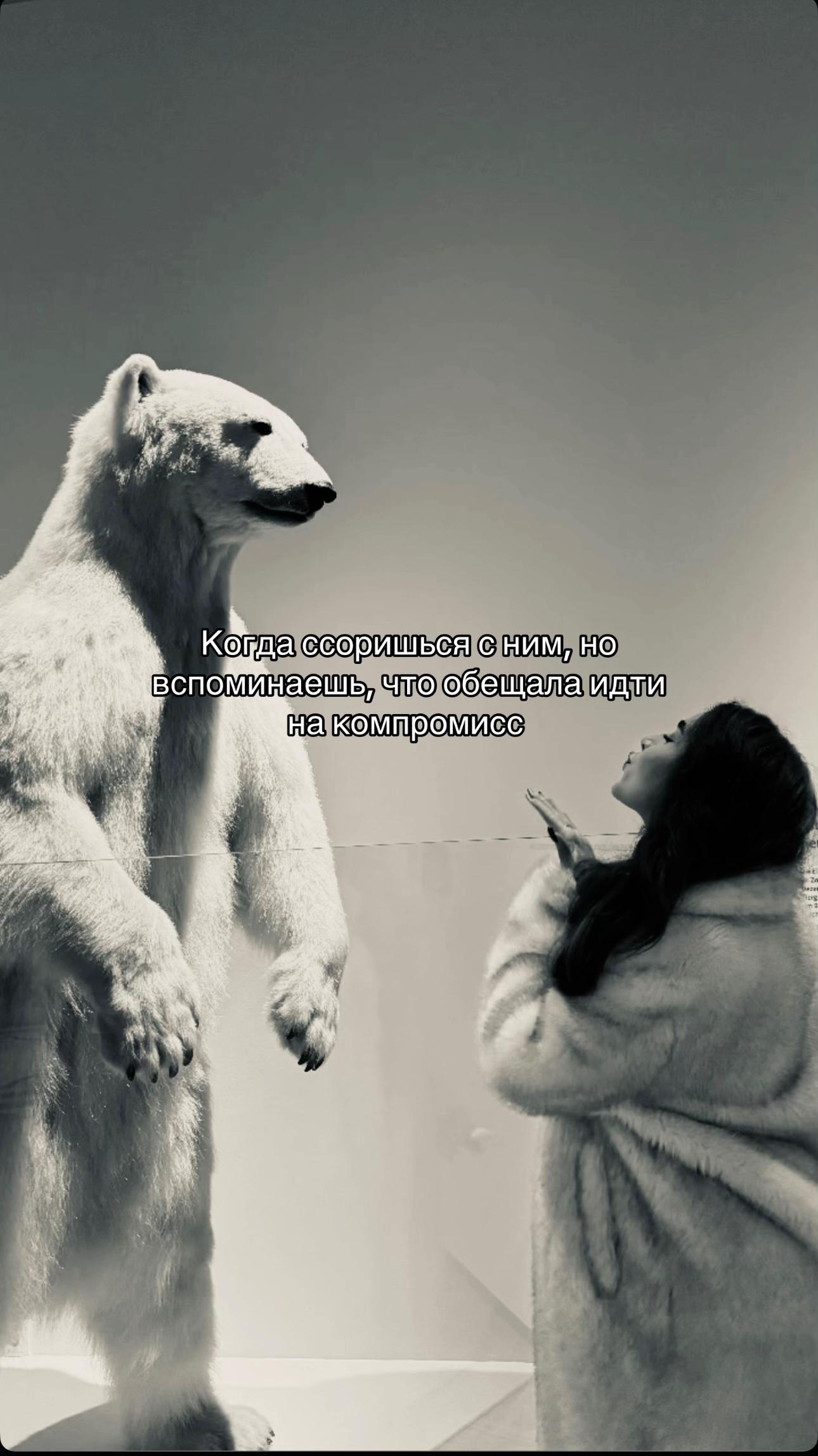 @софчикс