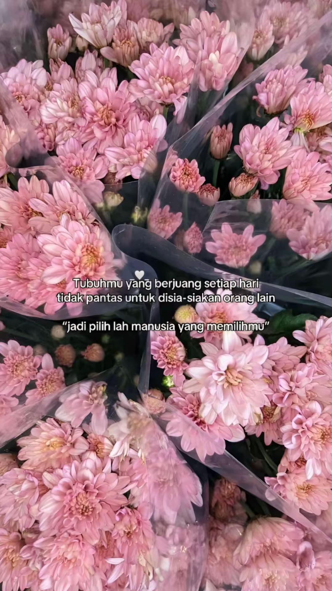 @cinta