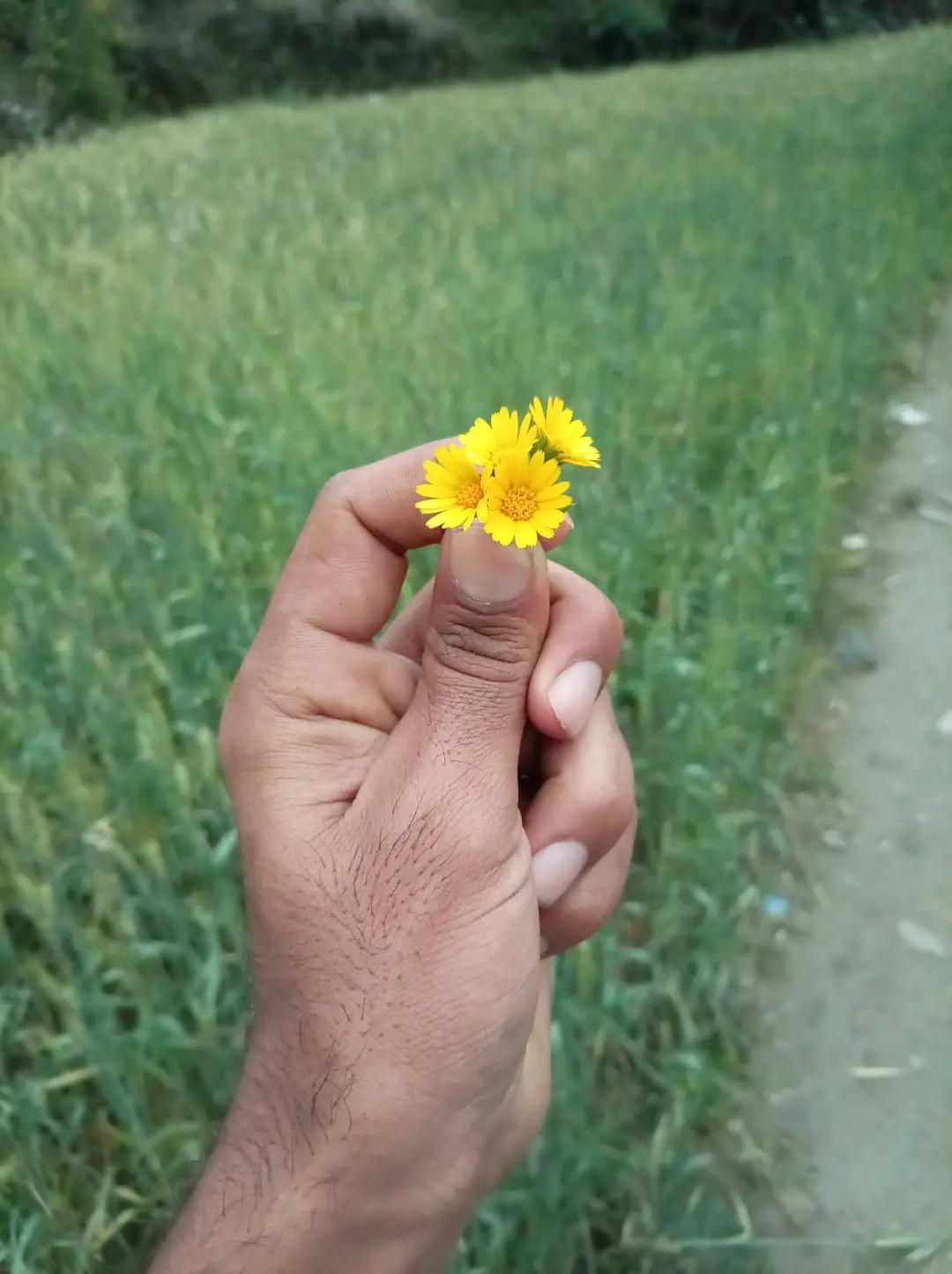 @.INayat.