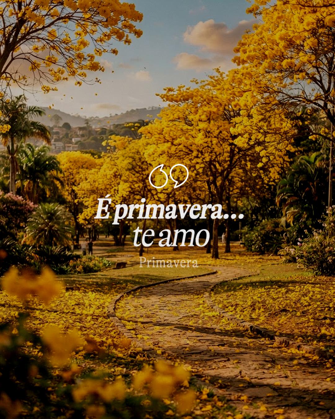 @Citações Musicais