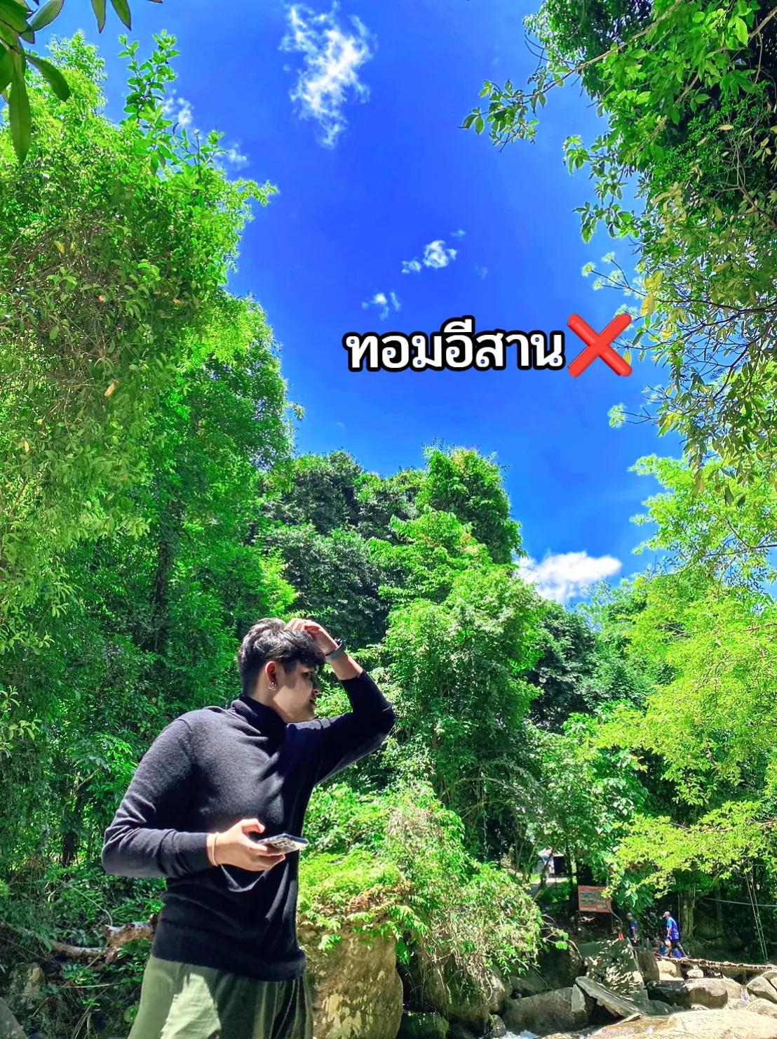 @🍂𝓣𝓐𝓝𝓖 𝓜𝓞🥢