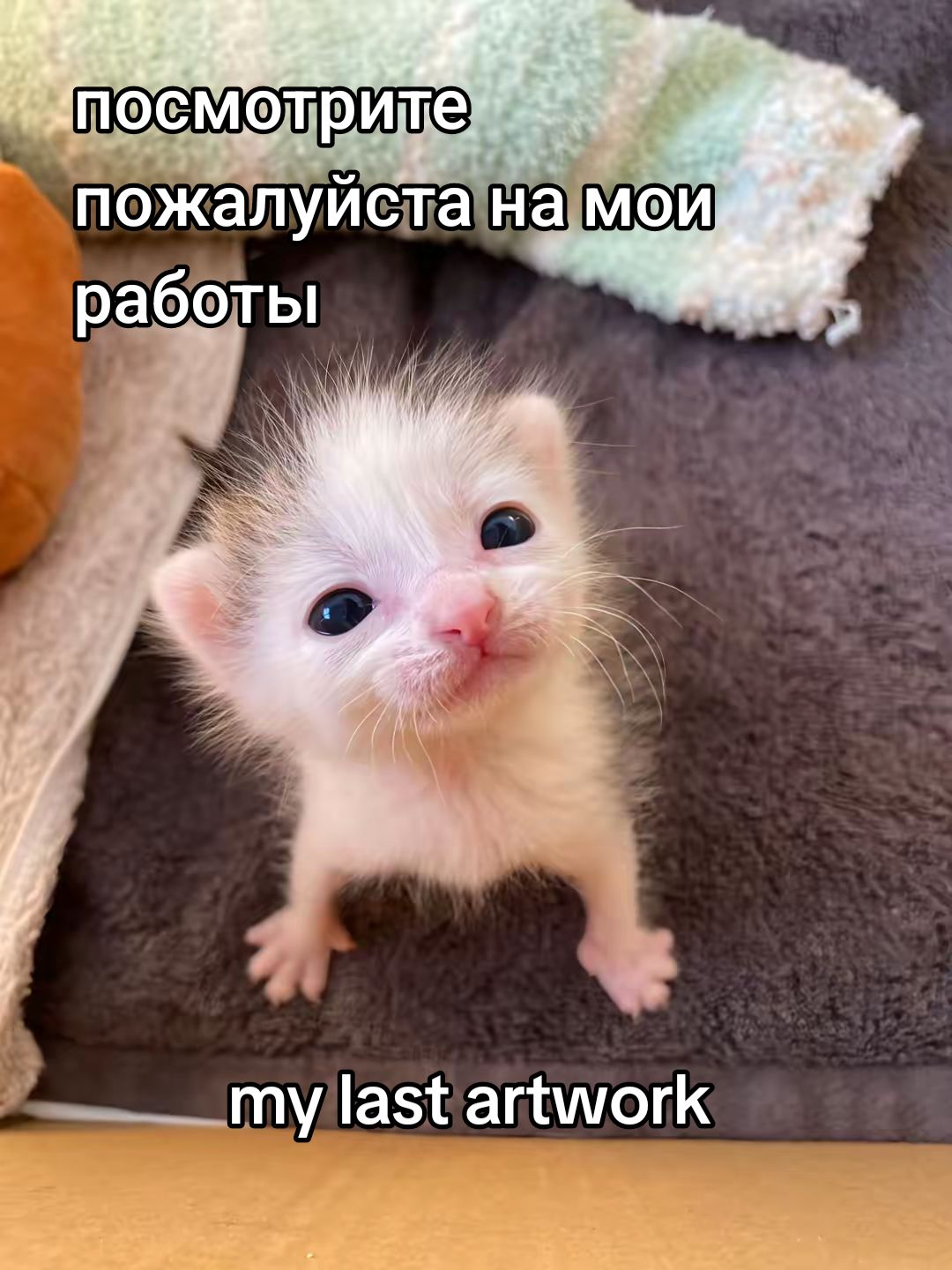 @dusselpagi