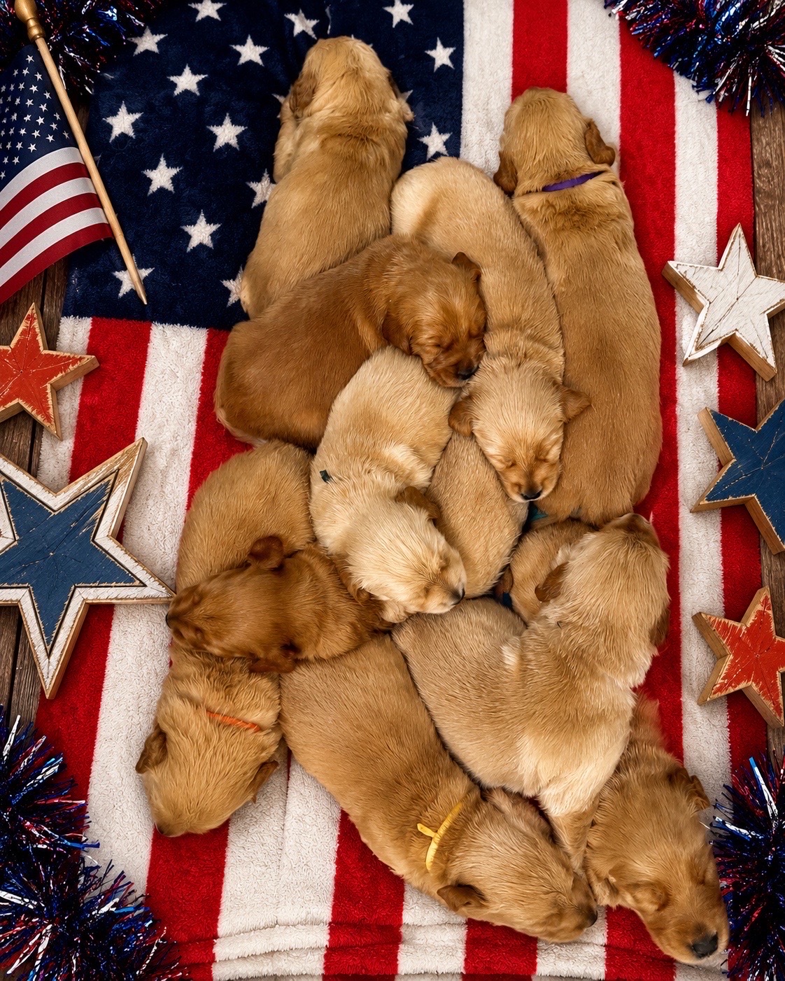 @Sages Goldens