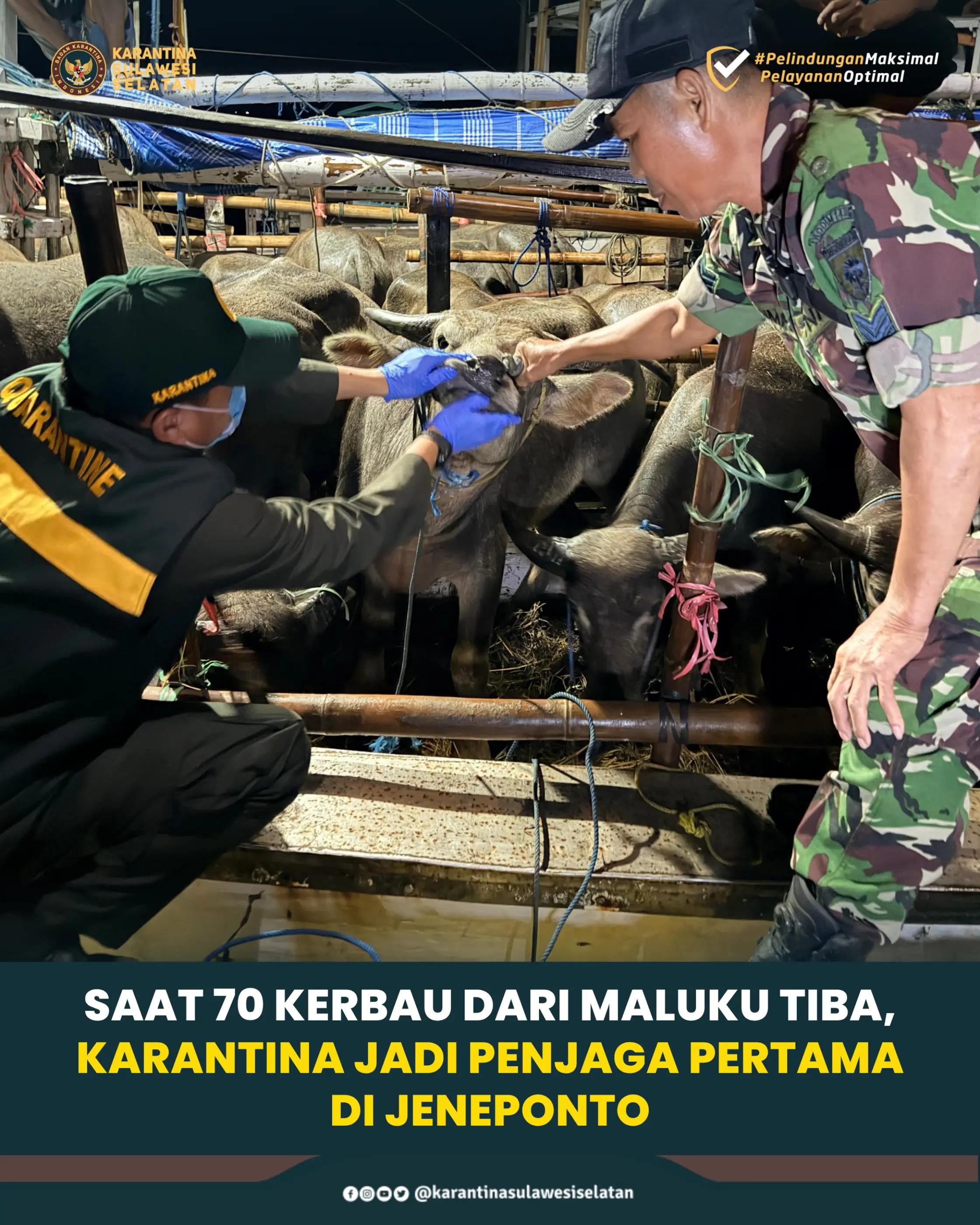 @Karantina Sulawesi Selatan