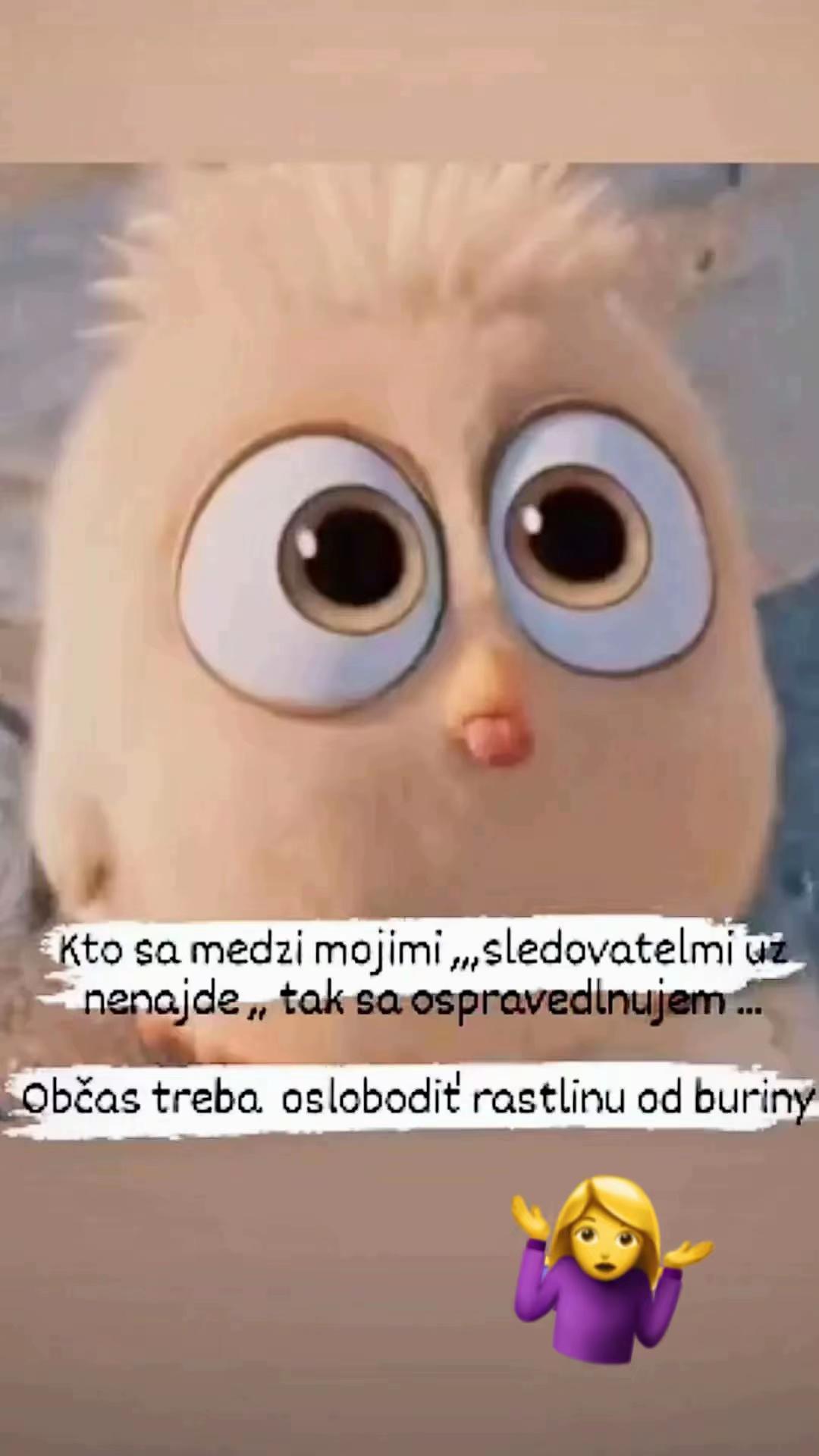 @Akyam