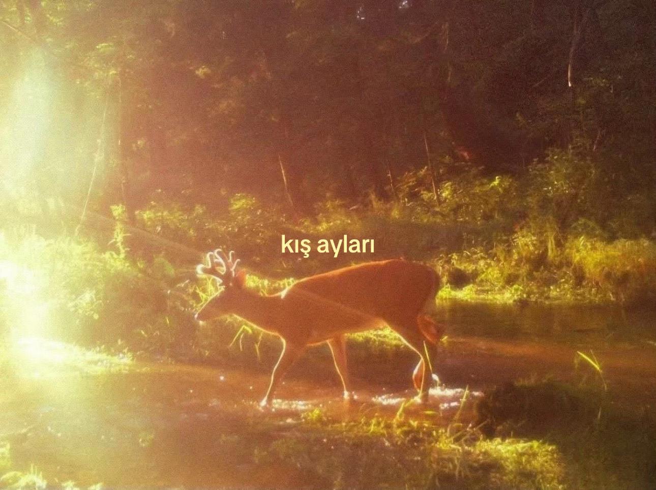 @𝒍𝒊𝒗𝒊𝒏𝒈𝒉𝒂𝒓𝒅