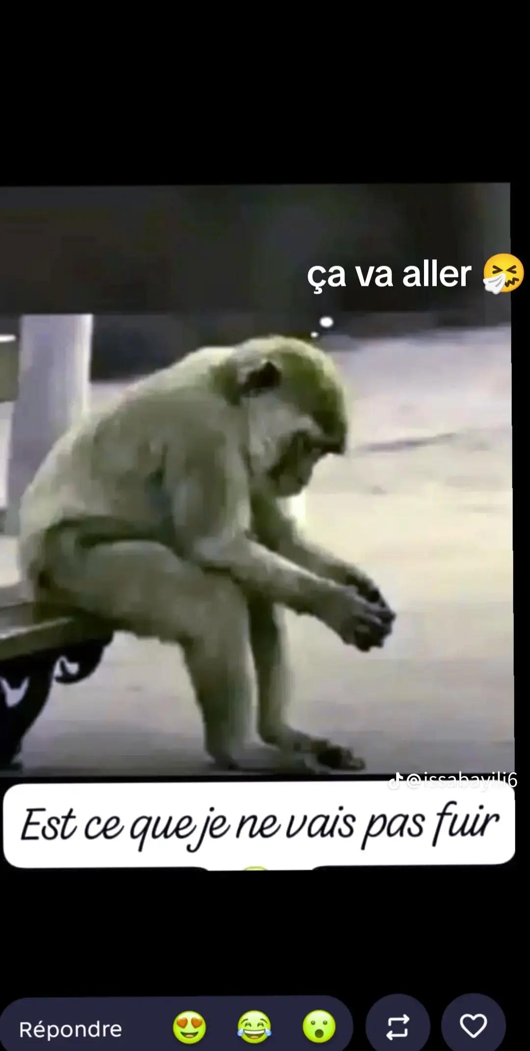 @LE BOÜKANTIÉ💵💰