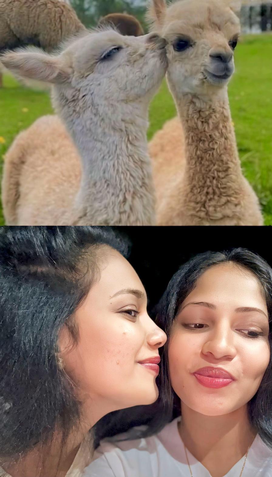 @Chala-weerasooriya
