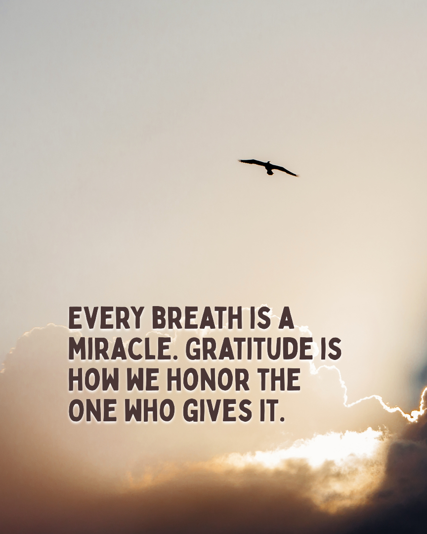 @Humans 4 Noah
