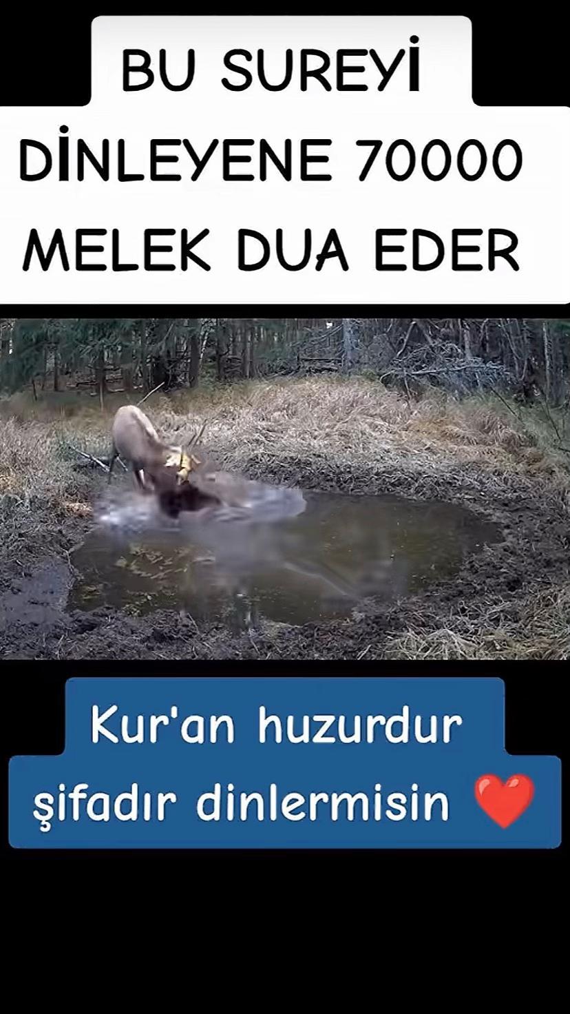 @꧁༺ ALLAH İ&Ccedil;İN ༻꧂