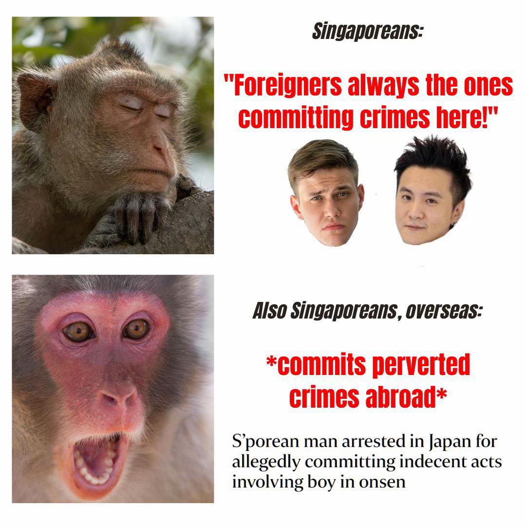 @Sinkie News Network SG