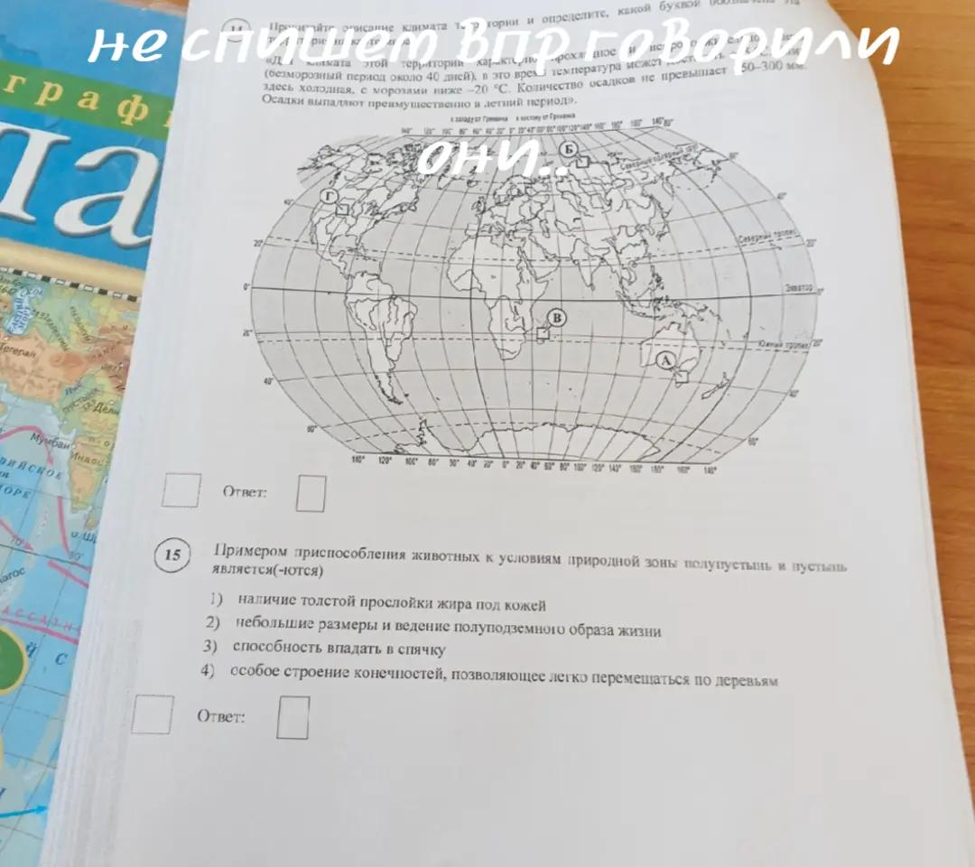 @shine