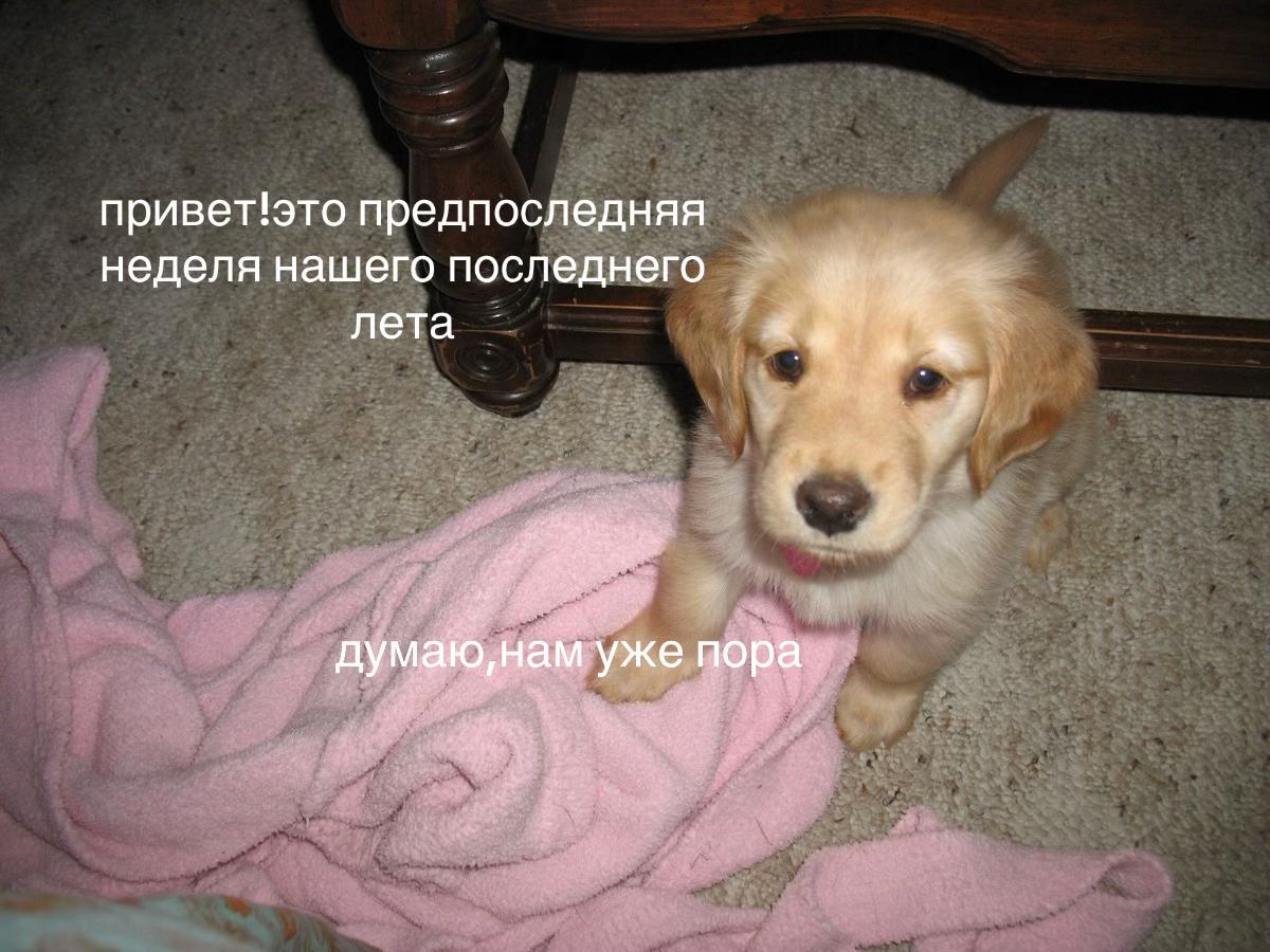@malenkaya mertvaya