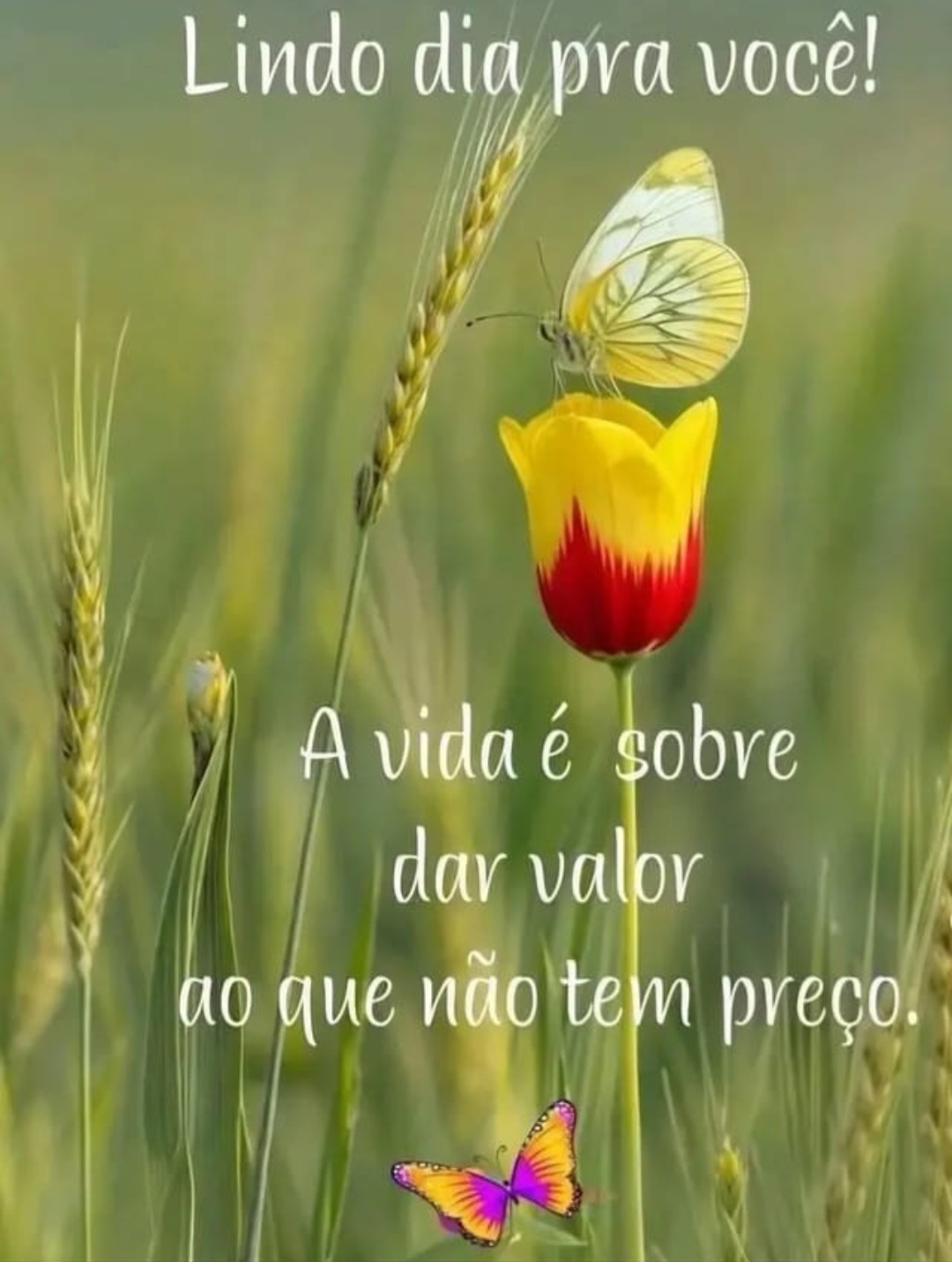 @Eunice Storch Baumann
