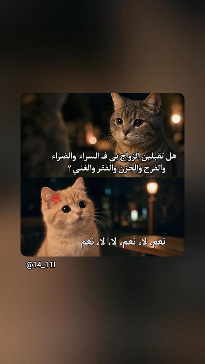 @Dr/Doaa