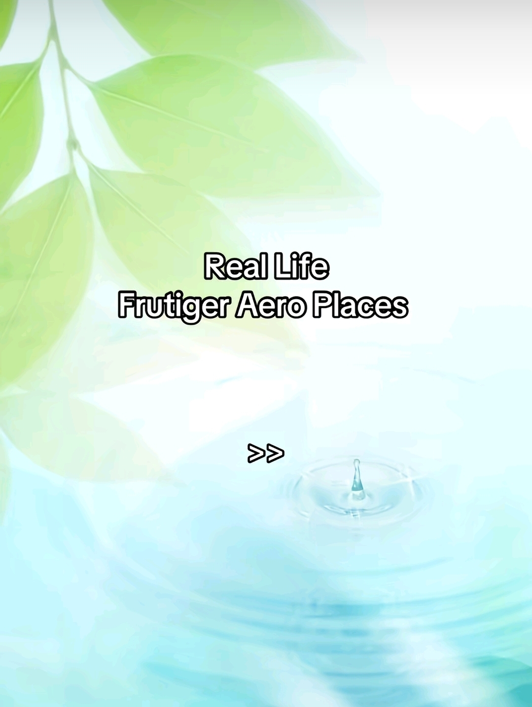@frutiger aero🌐🌎🐬💚