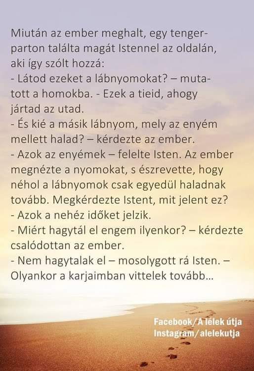 @Awakeningtiger &Eacute;bredőtigris