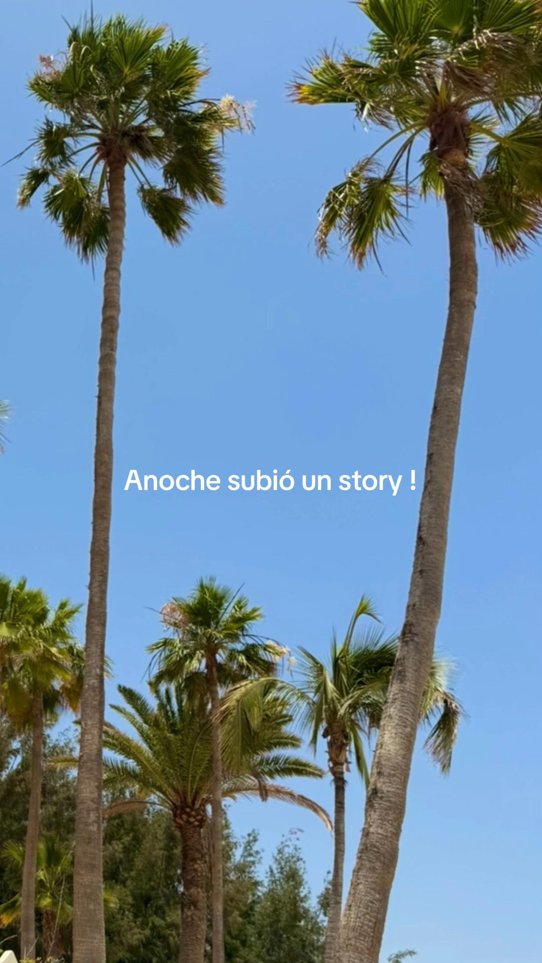 @Stelii