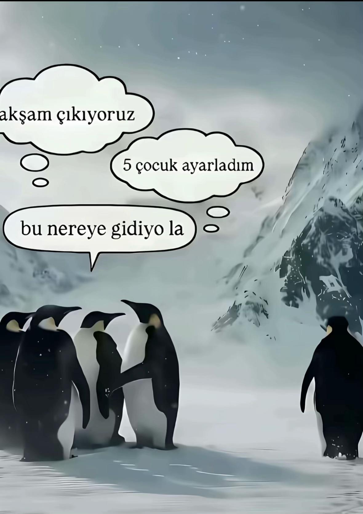 @eceeee