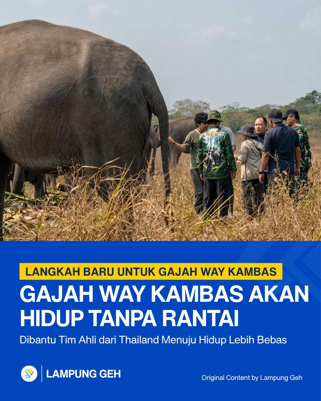 @Lampung Geh!