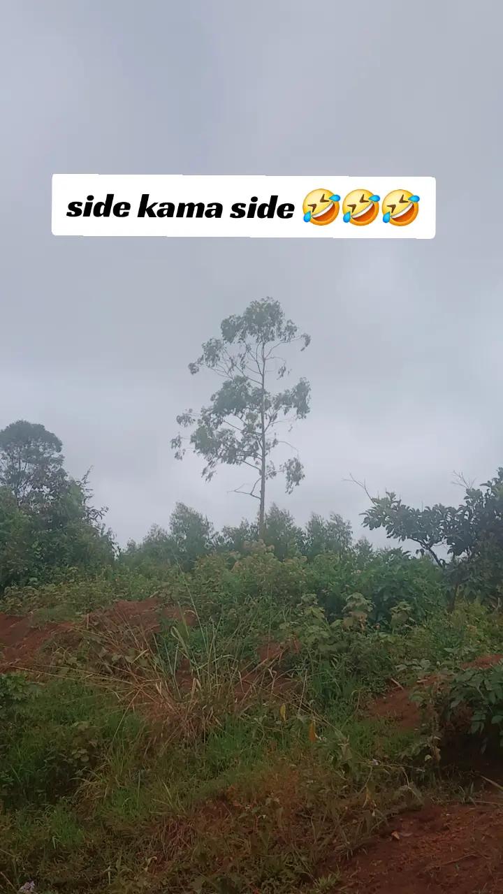 @Mpendwa💘💯