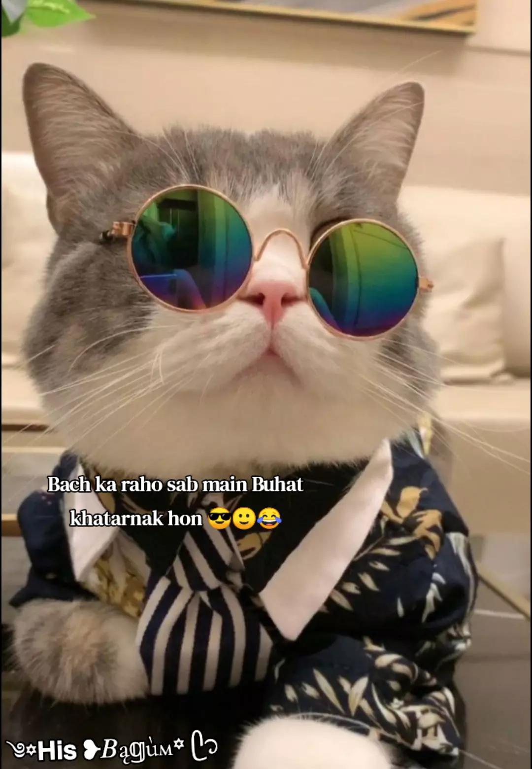 @༄꙳𝗛𝗶𝘀 ❥︎𝐵ą𝕘&ugrave;м꙳ ᥫ᭡