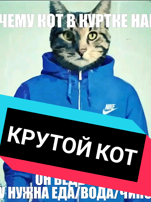 @Toff⁶⁷✅️