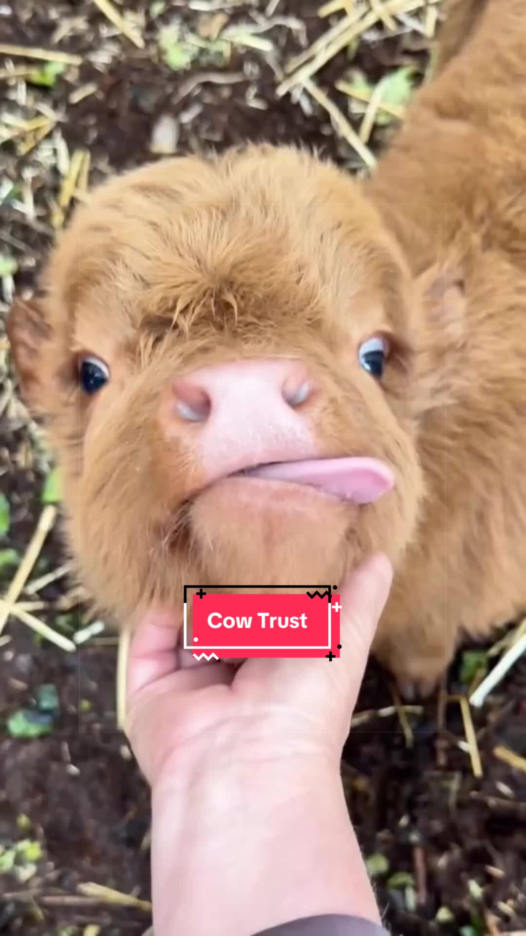 @Snugbarn