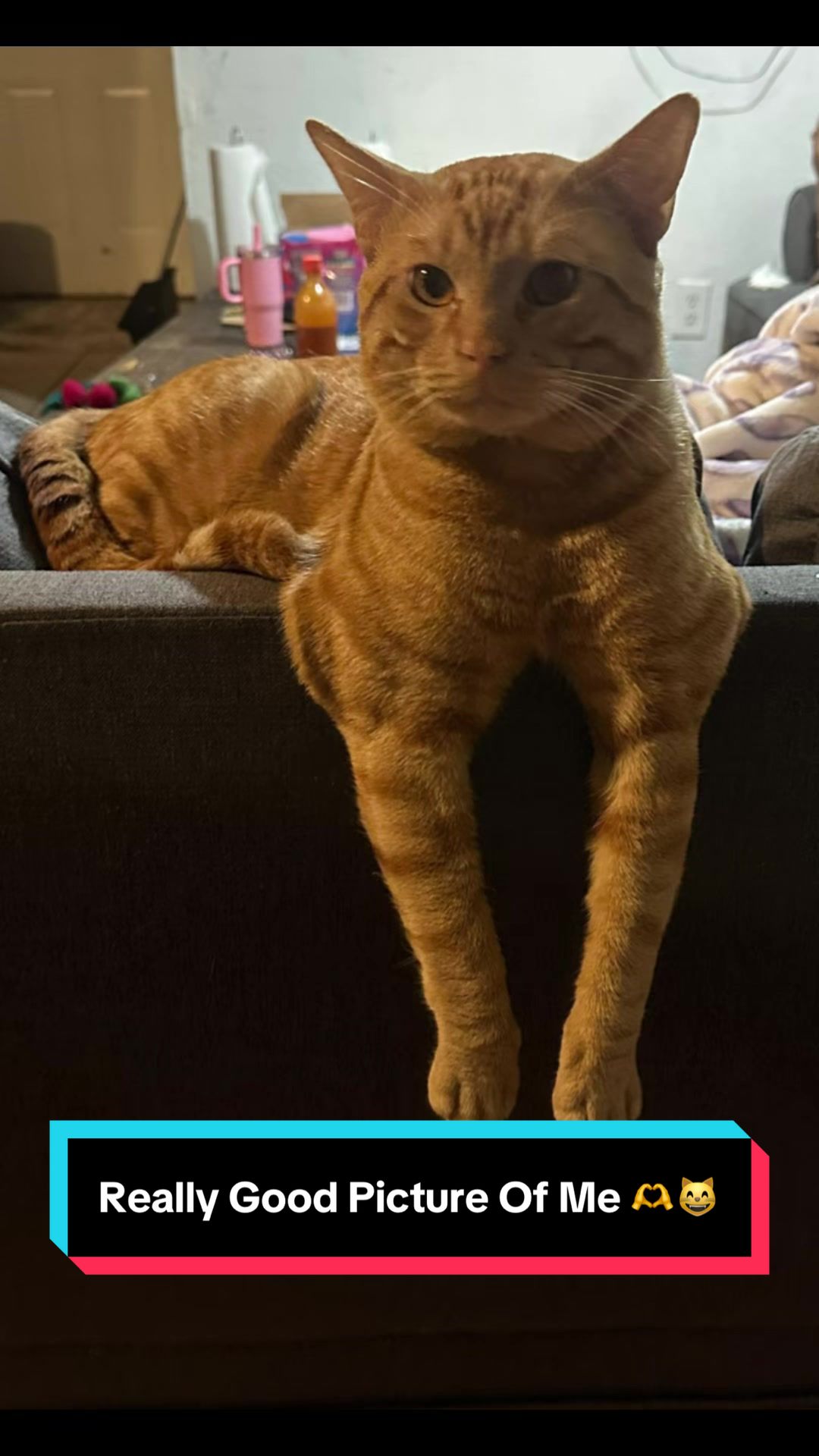 @𝓜𝓪𝓬𝓵𝓸𝓿𝓮