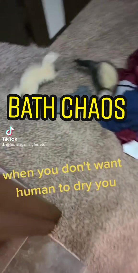 @Fuchsia