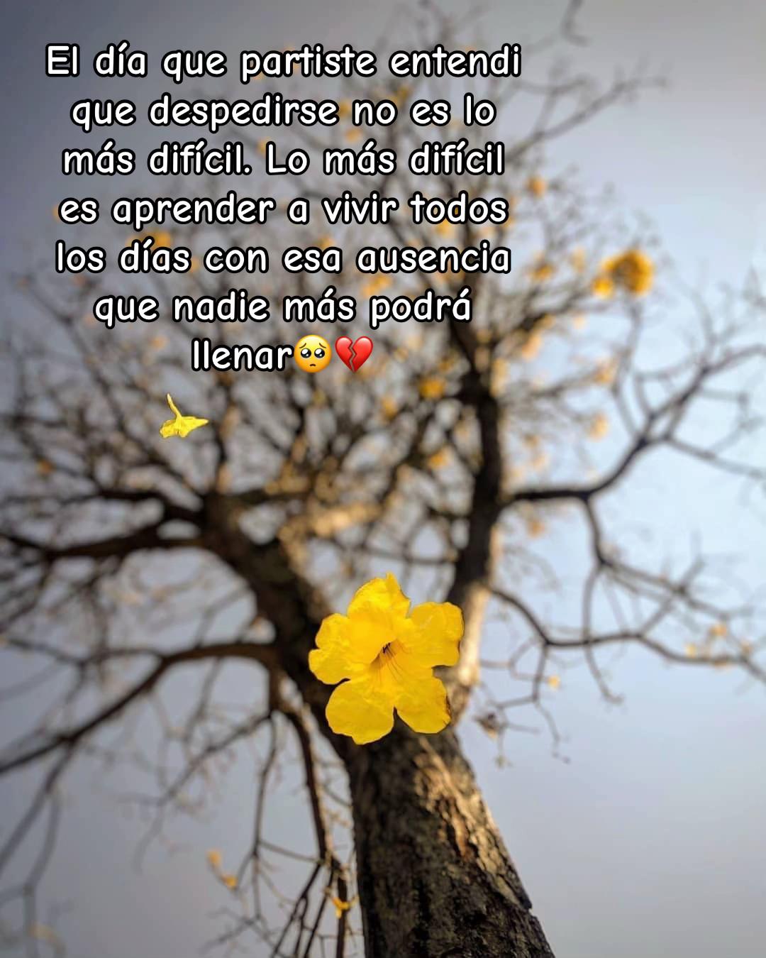 @Carmencita 🕊️🤍