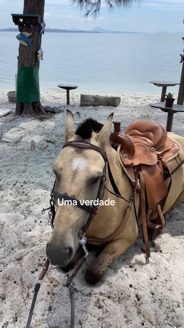 @Pᥱ́r᥆ᥣᥲ ᥱ ᥴᥲ&rho;&iota;tᥲ̃᥆