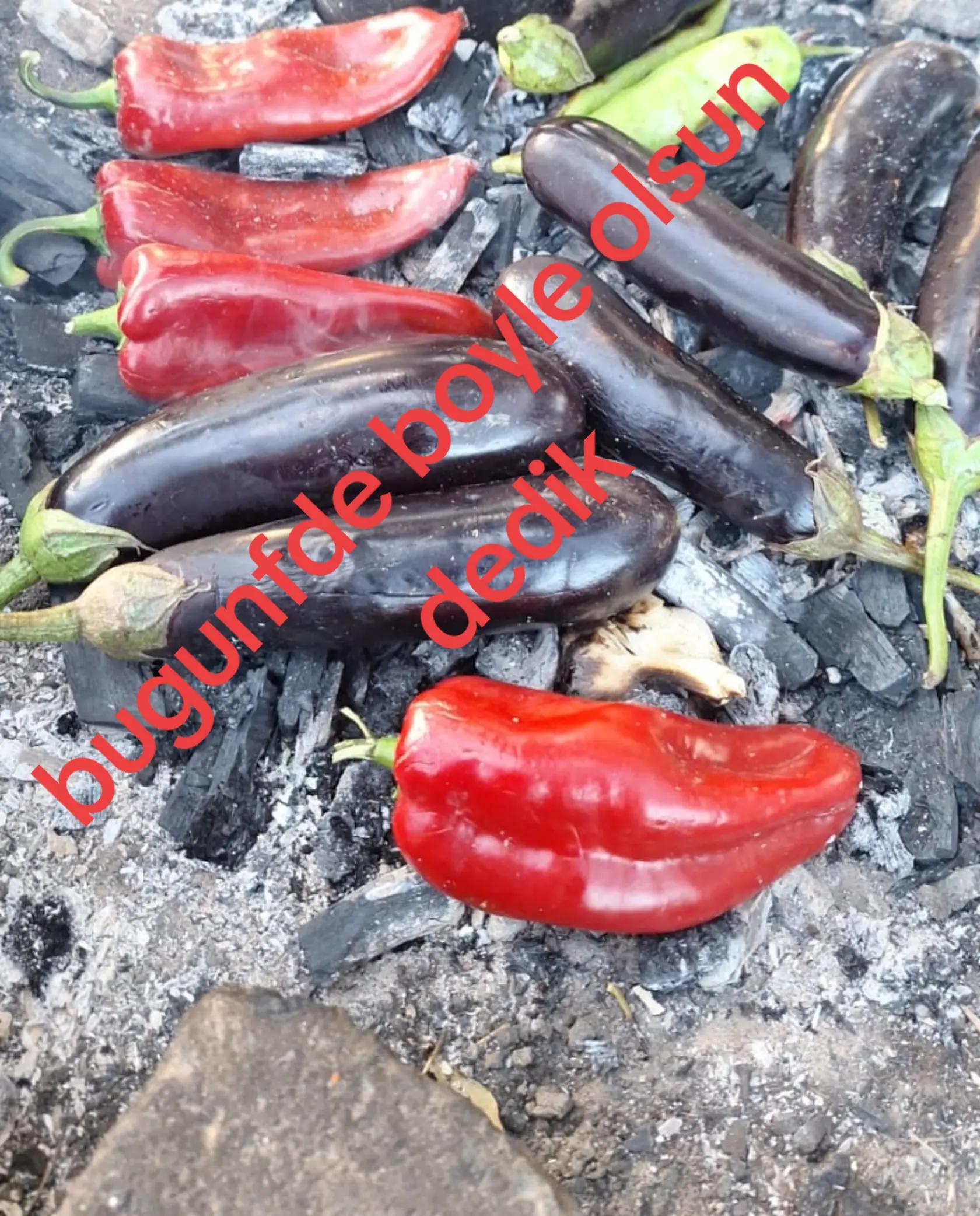 @Meral üner 51