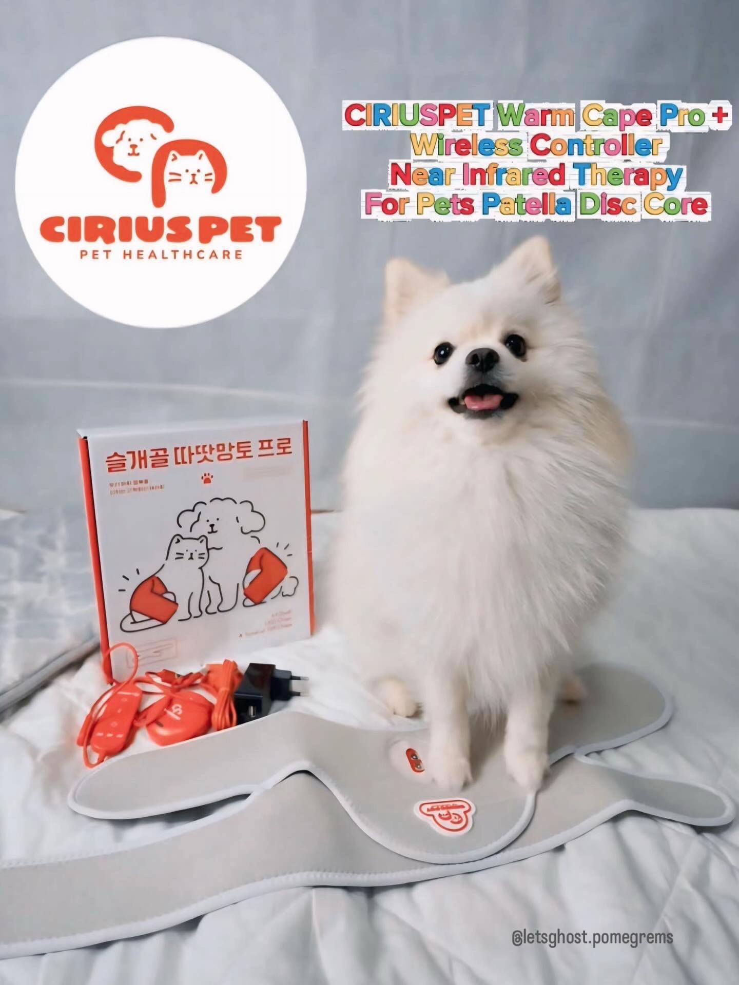 @G H O S T TheRunnerPom