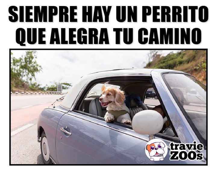 @Pancho Cavero
