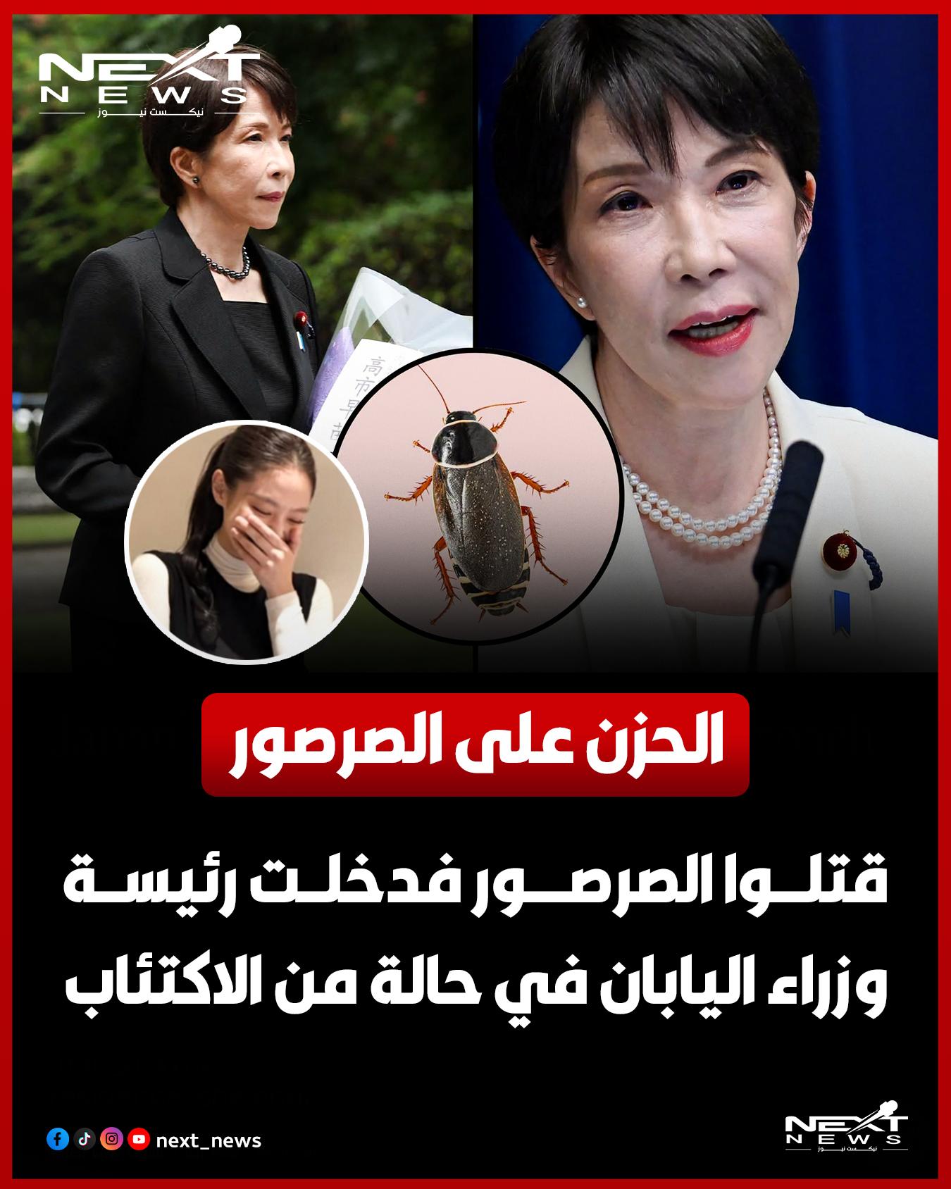 @nextnews
