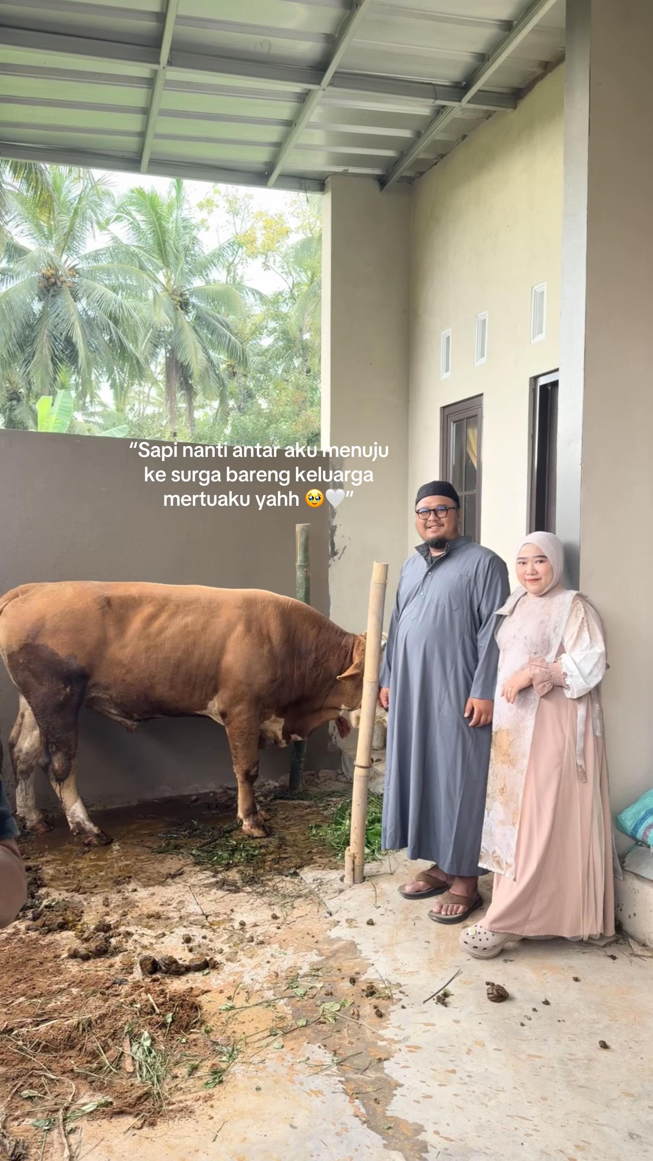 @TehVit