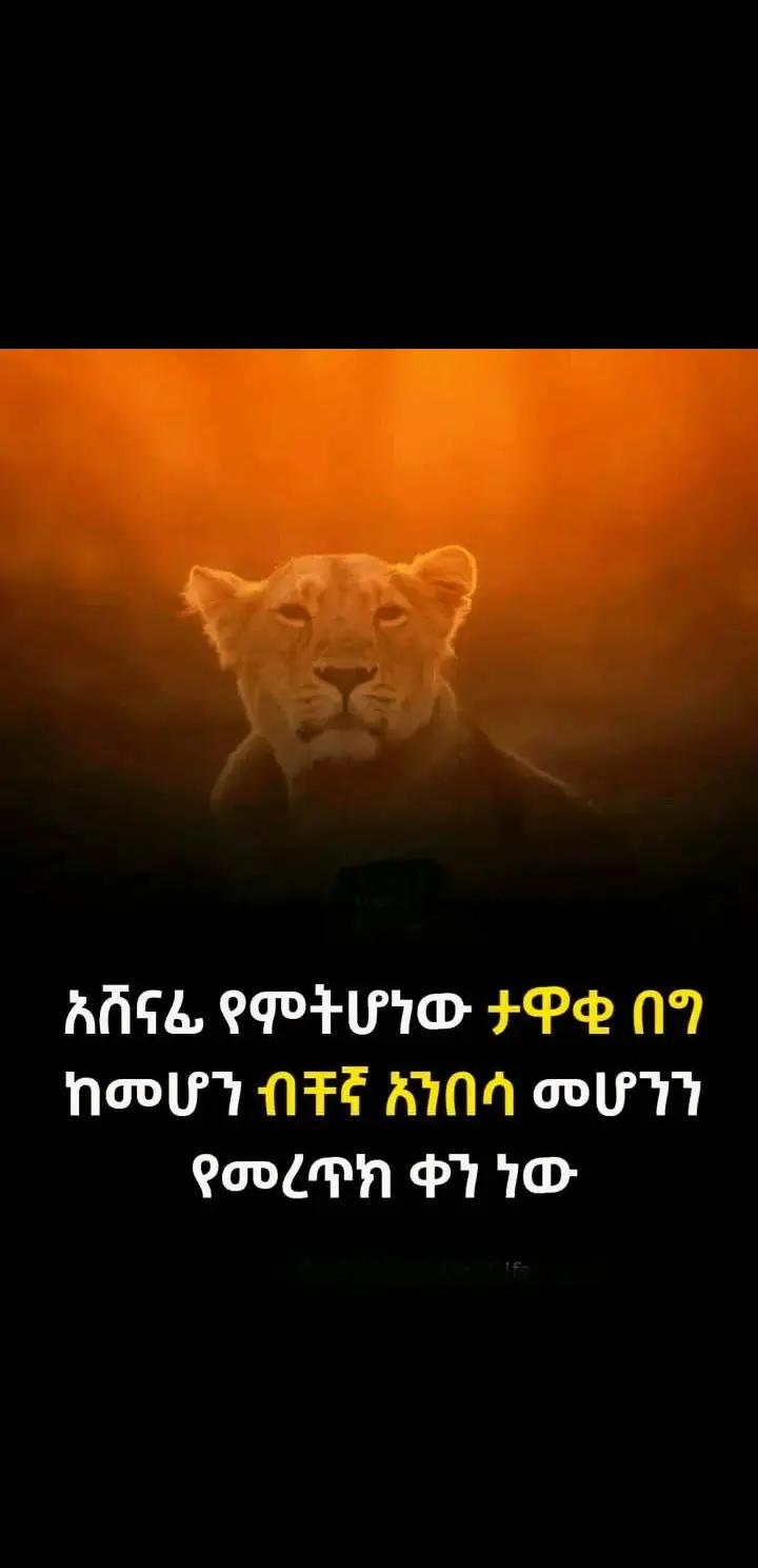 @ቆፍጣናዉ🤳🏋️♂️
